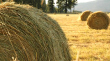 AGRICULTURAL TOUR